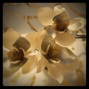 Meet your Posher, Gioia